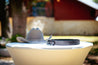 A Maverick cowboy hat and a Zilker Belts black leather belt resting on an outdoor table, with a blurred red barn in the background.