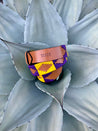 A purple and yellow NOLA belt is sitting on top of an agave plant. (Brand name: Zilker Belts)