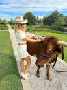 A woman in a cowboy hat petting a cow at a Zilker Belts event.