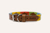 Dark brown leather dog collar with bright yellow, sky blue, green, and orange stitching. Zilker Belt logo embossing.