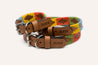 Dark brown leather dog collar with bright yellow, sky blue, green, and orange stitching. Zilker Belt logo embossing. Image showcases 3 sizes: small dog collar, medium dog collar, and large dog collar.