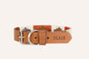an orange and white dog collar with the word Zilker Belts on it.