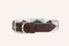 An Argentina Dog Collar by Zilker Belts, made of brown leather with a blue and white chevron pattern.