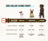Zilker Belts' Waterloo Dog Collar size chart.