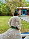 A white Verde Dog Collar, made by Zilker Belts, sits on a blanket in front of a tiny house.