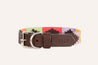 a colorful Waterloo Dog Collar with a brown leather strap from Zilker Belts.
